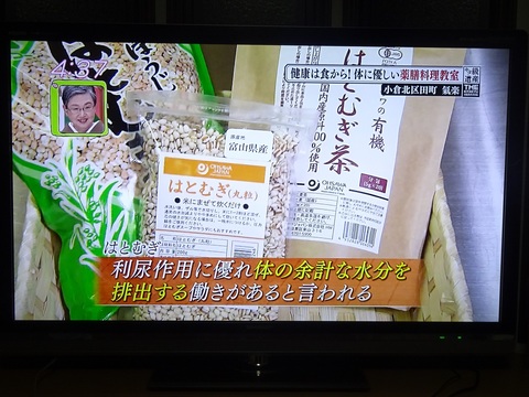 【中古】 ハトムギ奇跡の食物療法 病気を切らずに治す！！/住宅新報出版/大松香穂 ハトムギ奇跡の食物療法: 病気を切らずに治す!! 住宅新報出版